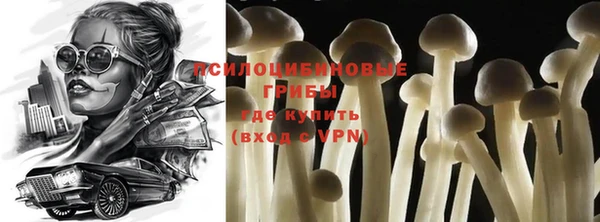 дживик Строитель
